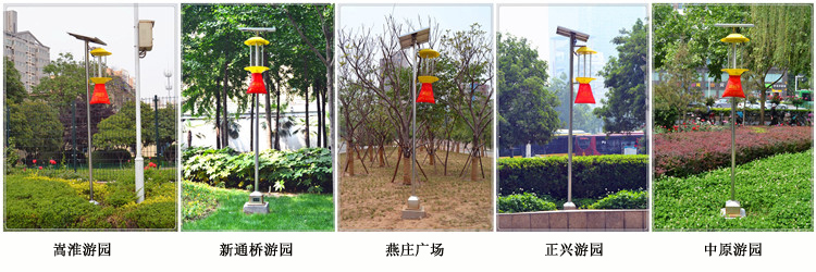 現(xiàn)場(chǎng)實(shí)拍：公園殺蟲燈安裝效果