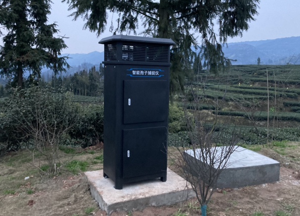 四川雅安茶園項(xiàng)目智能孢子捕捉儀安裝成功
