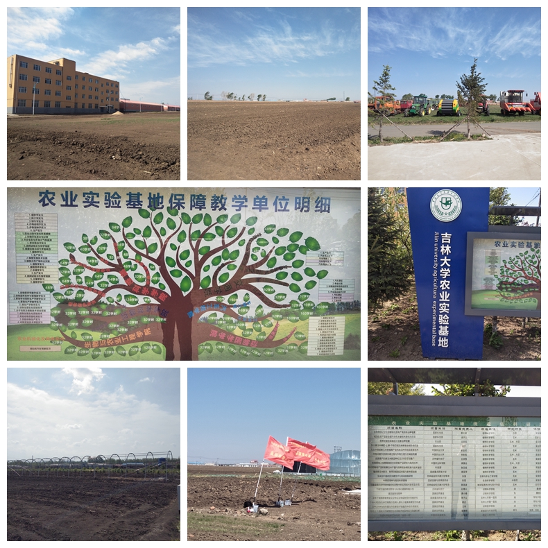 基地最終拼圖.jpg