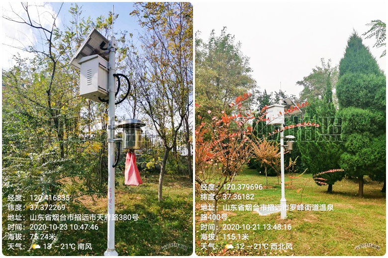 光影魔術(shù)手拼圖.jpg