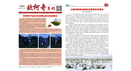 2022年第十一期《歐柯奇月刊》發(fā)行