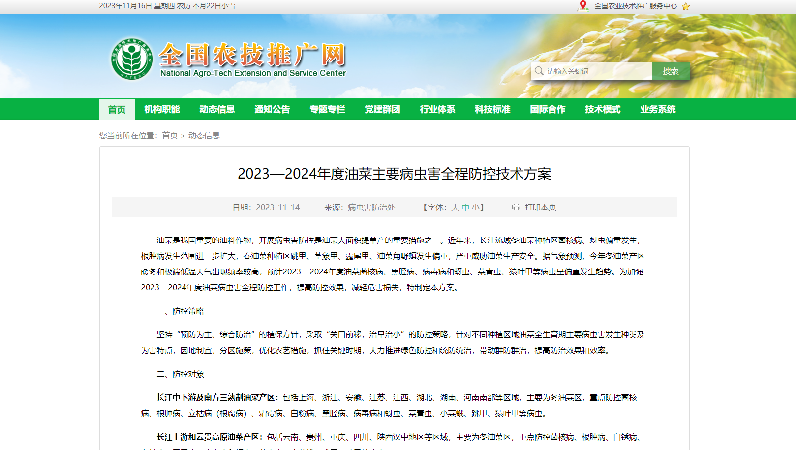 2023—2024年度油菜主要病蟲害全程防控技術(shù)方案