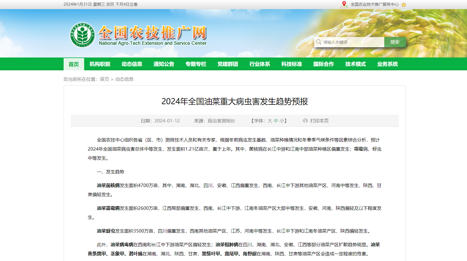 2024年全國油菜重大病蟲害發(fā)生趨勢預報