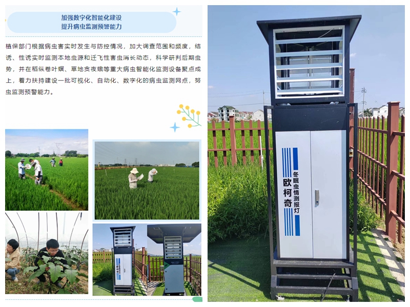 “蟲口奪糧”保豐收，歐柯奇設(shè)備助力無錫植保工作