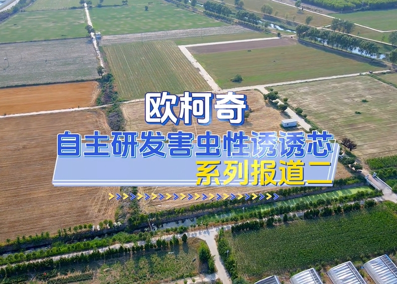 歐柯奇自主研發(fā)害蟲性誘誘芯|系列報(bào)道二